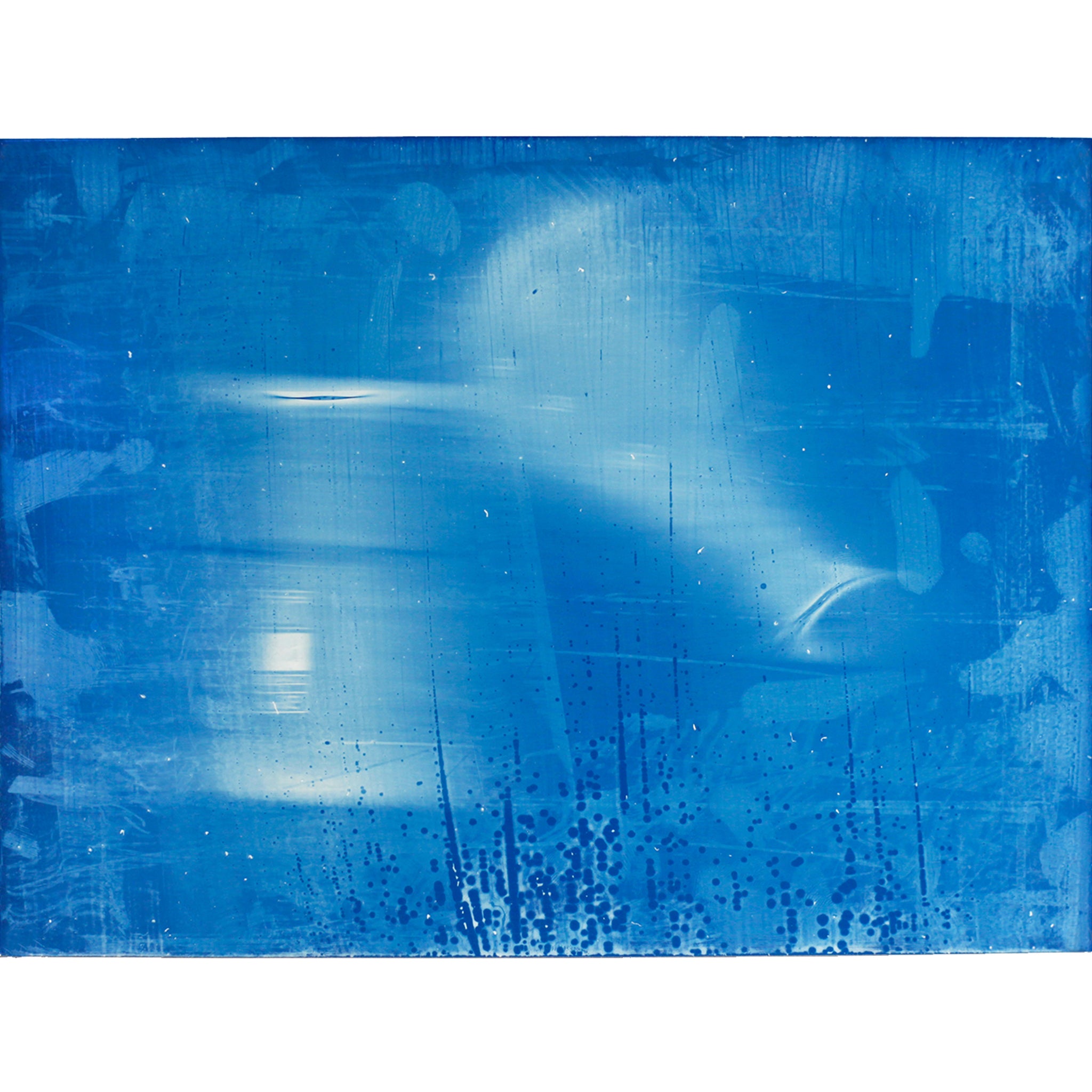 Jens Sundheim<br>《unique cyano type prints》007
